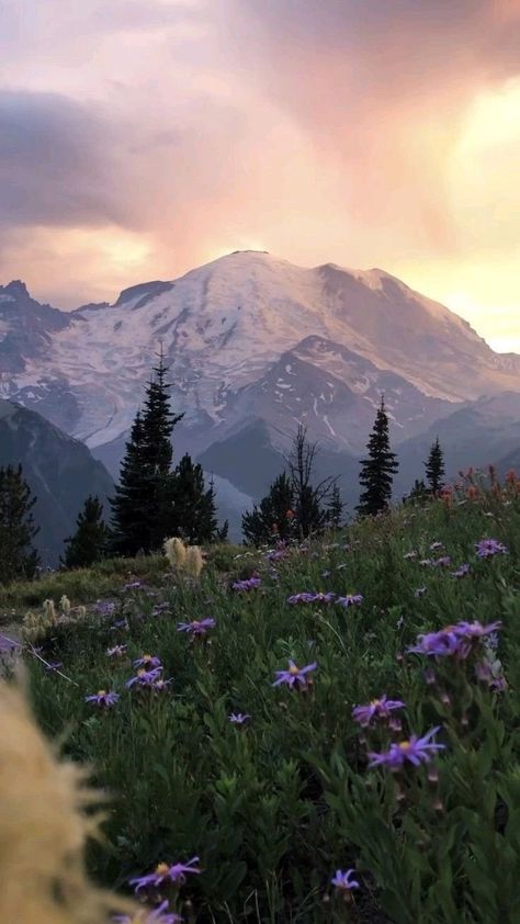 Mountains Vision Board, Rocky Core Aesthetic, Pnw Aesthetic Wallpaper, Washington State Wallpaper, Wild Forest Aesthetic, Pnw Wallpapers, Mountain Top Aesthetic, Washington Forest Aesthetic, Washington Coast Aesthetic