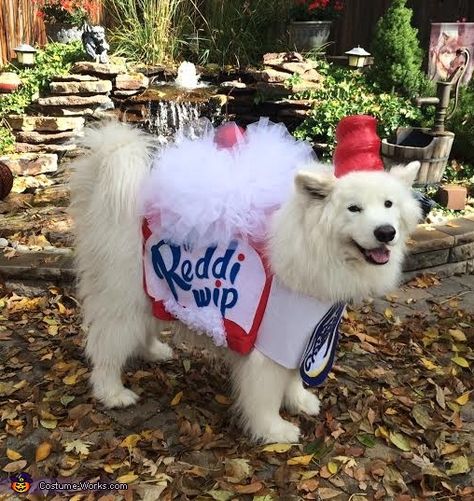 Dog Ice Cream Costume, Dog Costumes For White Dogs, White Dog Costumes, White Dog Halloween Costumes, Husky Halloween Costumes Dogs, S’mores Dog Costume, Samoyed Costume, Halloween Pets, Cream Dog