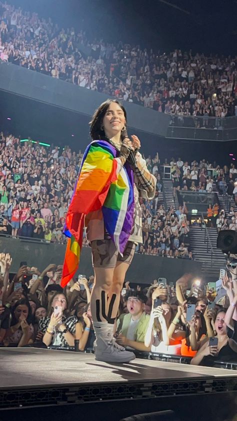 Lgbt Flag, Amsterdam Netherlands, Bossa Nova, Pride Flag, The Villain, On Stage, Favorite Person, Billie Eilish, Role Models