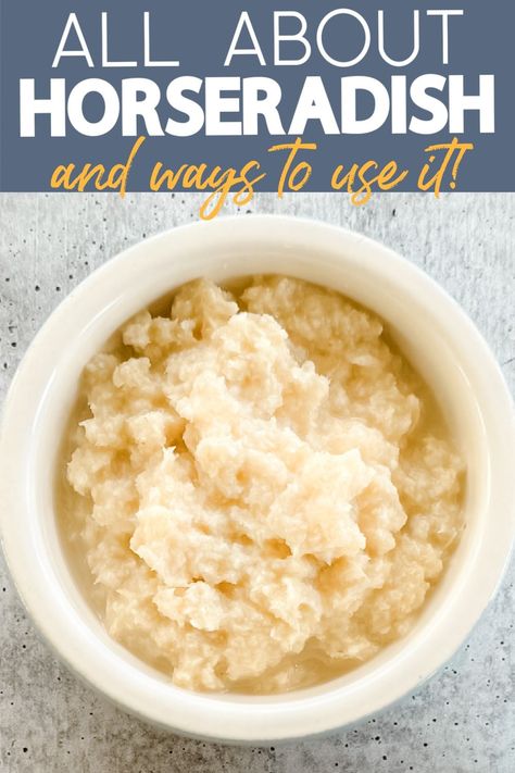 What Is Horseradish? Fresh Horseradish Sauce, Horseradish Dishes, Fresh Horseradish Recipes, Horseradish Plant, Growing Horseradish, Homemade Russian Dressing, Homemade Horseradish, Horseradish Recipes, Horseradish Cream Sauce