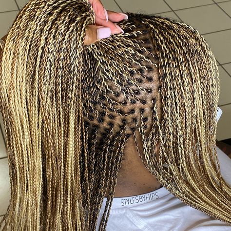 Natural Hair Ponytail, Micro Braids Hairstyles, Corn Rows, Braids With Shaved Sides, Senegalese Twist Hairstyles, Senegalese Twist Braids, Cute Box Braids, Dutch Braid Hairstyles, Micro Locs