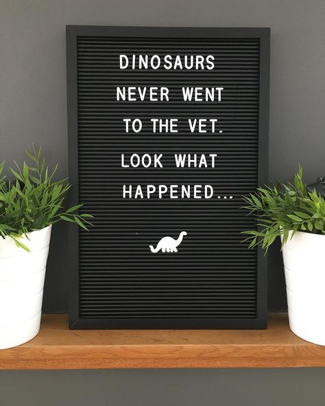 Vet Quotes, Hospital Organization, Veterinarian Quotes, Vet Office Decor, Veterinary Humor, Vet Tech Humor, Vet Tech School, Vet Office, James Herriot