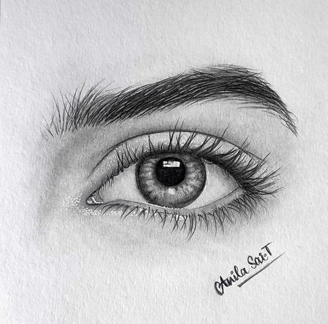 how to draw eye 2 Hyperrealistic pencil drawing of a human eye showcasing detailed shading and texture. Artist signature visible at the bottom. | Sky Rye Design Pencil Shading Eyes, Eye Pencil Shading, Human Eyes Drawing, Eyes Sketch Pencil, Eye Sketch Realistic, Eye Sketch Easy, Anatomy Shading, Drawing Realistic Eyes, Realistic Eye Sketch