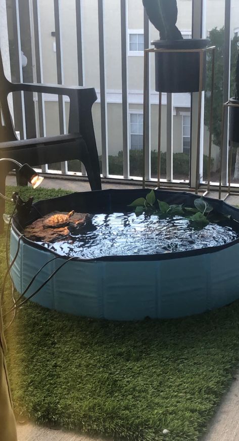 Turtle Pool, Turtle Ponds Backyard Diy, Water Turtle Tank Ideas, Turtle Stock Tank, Basking Area For Turtles Diy, Turtle Tank Ideas, Diy Turtle Basking Platform, Outdoor Russian Tortoise Enclosure, Turtle Tub