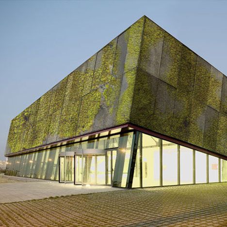 Spanish researchers have developed a "biological concrete" that can grow moss, lichen and fungi to create living walls. Materials Architecture, Grow Moss, Growing Moss, Types Of Concrete, Green Facade, Concrete Facade, Building Painting, Living Walls, Cladding Panels