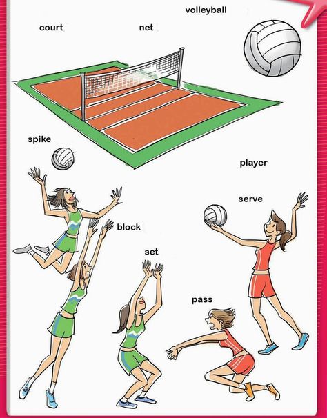 How To Start Playing Volleyball, Volleyball Beginners, Volleyball Drawing, Volleyball Rules, Volleyball Serve, Story In English, Soccer Training Drills, Volleyball Skills, Volleyball Practice