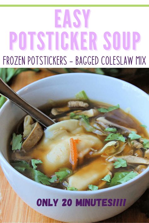 Frozen Gyoza Soup, Dumping Soup Asian, Crockpot Asian Dumpling Soup, Crockpot Pot Sticker Soup, Soup With Frozen Dumplings, Crock Pot Wonton Soup, Frozen Potsticker Soup, Crockpot Dumpling Soup, Pork Dumpling Soup Recipes