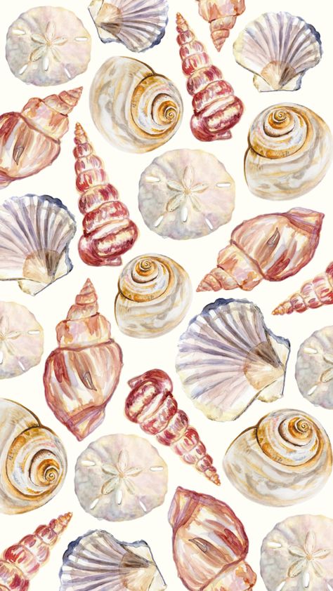 Seashell wallpaper #seashell #shell #ocean #beach #wallpaper Ocean Beach Wallpaper, Seashell Wallpaper, Summer Prints Wallpaper, Scrapbook Letters, Gcse Art Sketchbook, Snoopy Wallpaper, Lit Wallpaper, Beach Background, Phone Wallpaper Patterns