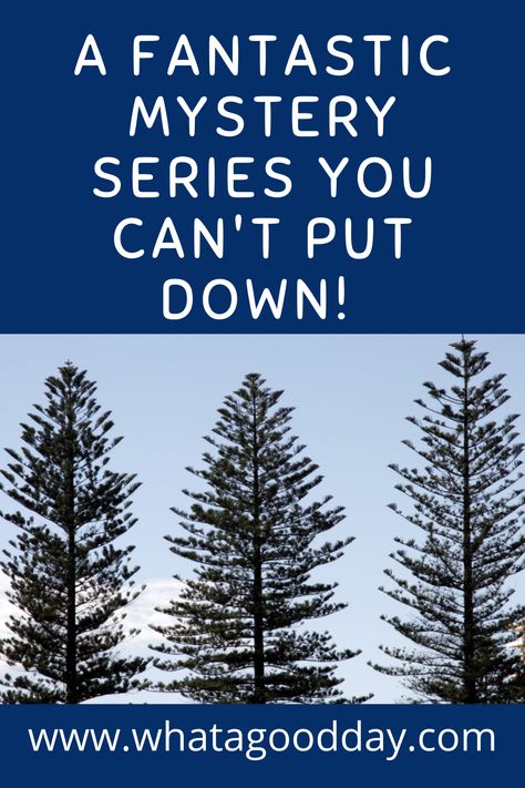 If you like a good crime drama, murder mystery, who done it type story with a variety of interesting and intriguing characters then you will get hooked by this series. Read on to learn more about Louise Penny’s fantastic Three Pines/Inpector Gamache series! Three Pines Louise Penny, Louise Penny Books, Inspector Gamache, Three Pines, Louise Penny, Unique Beach, Mystery Series, Happy Reading, Beach Reading