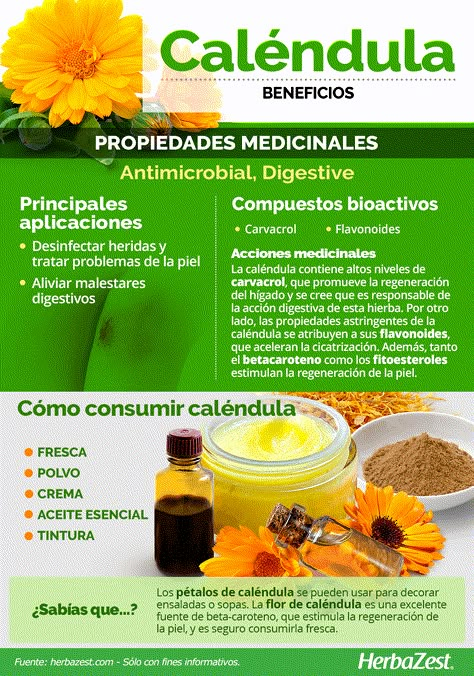 Calendula Essential Oil, Pot Marigold, Calendula Benefits, Calendula Flowers, Calendula Flower, Calendula Oil, Herb Pots, Carrier Oil, Ornamental Plants