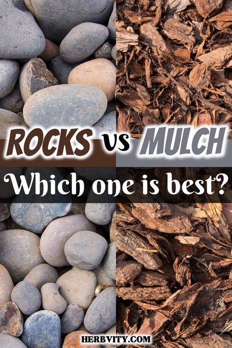 Mulch vs rocks are two main components of gardening. Each has its own benefits and drawbacks. After reading this post, you should have a good idea which one works best for your garden, or if you want to use both. Front House Rock Landscaping, Mulch Over Rock Bed, Rock Or Mulch Landscaping Ideas, Rock Garden Backyard, Stones In Flower Beds, Stone Beds Landscaping, River Gravel Landscaping Ideas, River Rock In Flower Beds, Outdoor Mulch Ideas