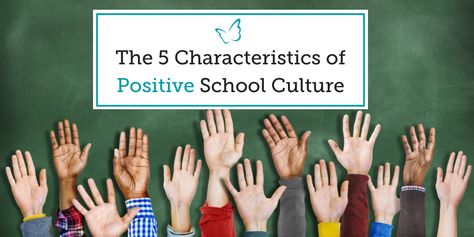 The 5 Characteristics of Positive School Culture Positive School Culture, Positive Characteristics, Good Teamwork, School Improvement, School Climate, Coaching Skills, Senior Management, School Culture, Literacy Coaching