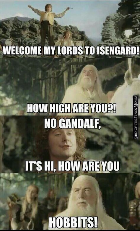 Lord of the Rings. Gandalf and Pippin "How high are you? " Aham Prema, Dessin Game Of Thrones, Lotr Funny, Dnd Funny, Monday Humor, Funny Bones, Into The West, Bilbo Baggins, How High Are You