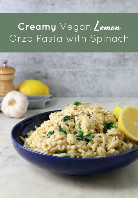 Creamy Vegan Lemon Orzo Pasta with Spinach - Labeless Nutrition Spinach Orzo Recipes, Vegan Lemon Orzo, Lemon Orzo Pasta, Lemony Orzo, Spinach Orzo, Pasta With Spinach, Vegan Spinach, Lemon Orzo, Noodles Recipes