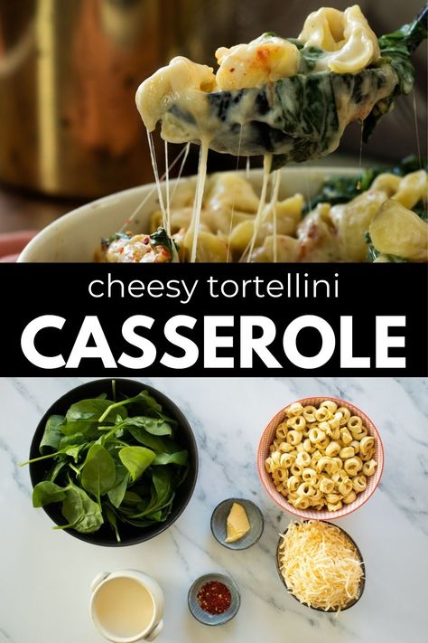 Indulge in the ultimate comfort food with our mouthwatering tortellini casserole recipe! This creamy and cheesy pasta casserole is so simple to make, perfect for a cozy family dinner or entertaining guests. Packed full of flavor and baked to perfection, this dish will quickly become a new favorite in your rotation of go-to meals. Looking for more comforting baked pasta recipes? Explore our collection of delicious pasta casserole recipes that are sure to please any crowd. Tortellini Casserole Recipes, Recipes With Tortellini, Casserole With Spinach, Baked Tortellini Casserole, Tortellini Casserole, Pasta Bake Vegetarian, Cheesy Tortellini, Cheesy Pasta Recipes, Cosy Fall