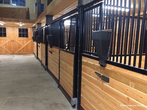 Trainers Hopeful Automatic Feeders Could Stave Off Colic, Ulcers - Horse Racing News | Paulick Report Automatic Horse Feeder, Horse Feeder, Horse Nutrition, Feeding Program, Stall Fronts, Equine Nutrition, Automatic Feeder, Breeders Cup, Big Horses