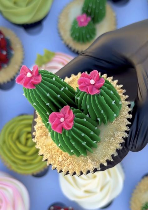 Cupcakes Decorating, Succulent Cupcakes, Succulent Cake, Cactus Cake, Frosting Techniques, Cupcake Decorating Tips, Cupcake Cake Designs, 15 September, Floral Cupcakes