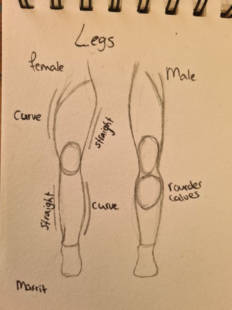 Male Body Atonamy Drawing, How Draw Male Bodies, How To Draw Someone On Their Knees, How To Draw Legs Step By Step, Free Body Base Drawing Male, How To Draw Jeans Female, Male Vs Female Face Drawing, How To Draw Legs Men, How To Draw A Male Body Step By Step