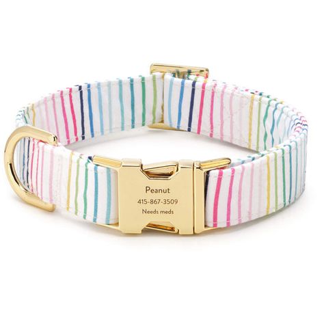 TFD x Simplified® Happy Stripe Dog Collar – The Foggy Dog Foggy Dog, Dog Trends, Emily Ley, The Foggy Dog, Cute Dog Collars, Old Pillows, Mini Goldendoodle, Modern Pet, Dog Beach