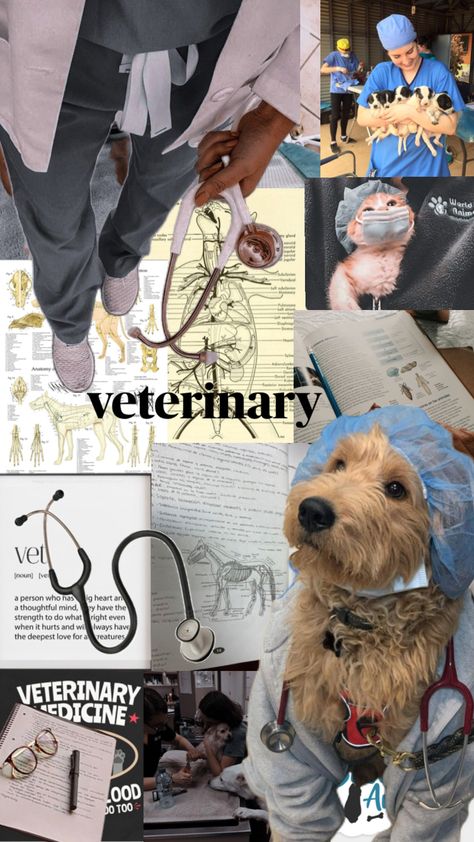 Vet Tech Aesthetic Wallpaper, Vet Collage, Vet Tech Wallpaper, Veterinary Wallpaper, Vet Med Aesthetic, Vet Tech Aesthetic, Vet Wallpaper, Vet Student Aesthetic, Veterinarian Aesthetic