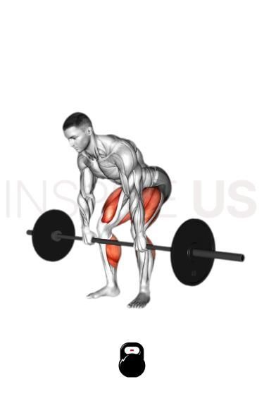 A pause deadlift involves a deadlift where you pause during the initial lift, aiming to specifically engage the lower body muscles more effectively. Deadlift Benefits, Quadriceps Femoris, Deadlift Variations, Lower Body Muscles, Body Muscles, Barbell Squat, The Pause, Compound Exercises, Muscle Groups