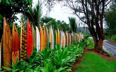 Property line Fence Laws Hawaii Bahama Shutters, Fence Styles, Home Beach, Shutters Exterior, Beach Cottage Decor, Beach Cottage Style, Beach Living, Garden Fencing, The Fence