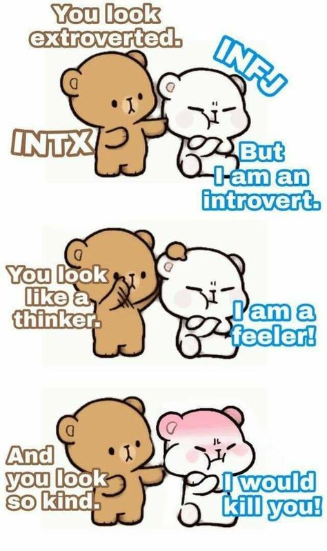 Infj X Intj, Infj Meme, Infj Door Slam, Infj Characters, Infj And Entp, Enfp And Infj, Personalidad Infj, Infj Traits, Infj Humor