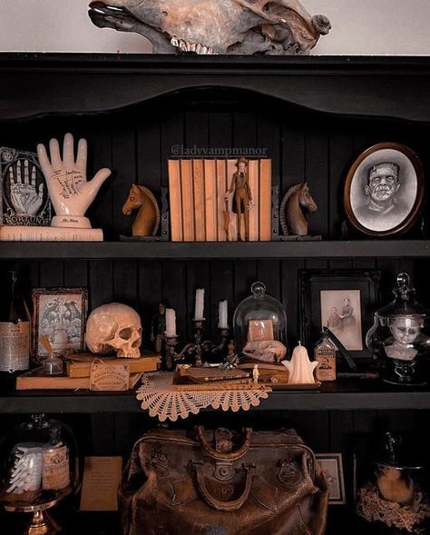 Oddities Shelf Ideas, Gothic Apothecary Decor, Coffin Halloween Decoration, Goth Bookshelf Decor, Spooky Apothecary Display, Diy Coffin Mirror, Halloween Shelf Styling, Goth Shelf Decor, Halloween Curio Cabinet