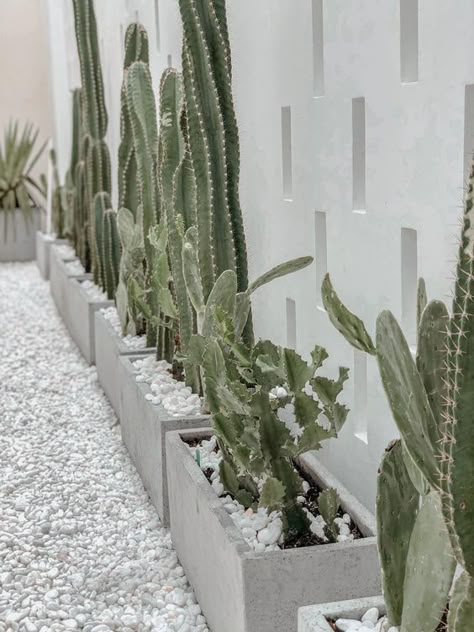 a concrete fence lined up with concrete planters with cacti and white pebbles are a super stylish modern combo for a desert space Tropical Garden Design Landscaping, Landscaping Ideas For Backyard, Landscaping Tropical, Backyard Garden Landscaping, Tropical Landscaping Ideas, Corner Garden Ideas, Space Garden, Tropical Garden Design, Concrete Fence