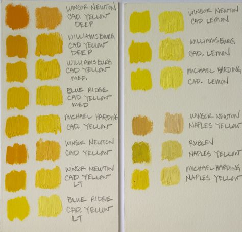 My Full-Color Palette: Cadmium Yellows — Elizabeth Floyd Cadmium Yellow, Oil Painting Supplies, Yellow Palette, Earth Pigments, Art Supply Stores, Color Scale, Color Palette Yellow, Winsor & Newton, Handmade Oil