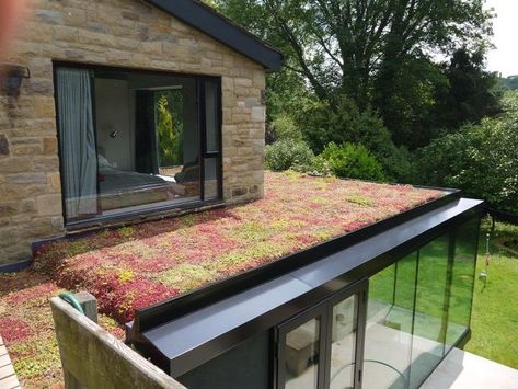 Green Roof Benefits, Eco Roof, Sedum Roof, Green Roof System, Urban Heat Island, Green Roofs, Pergola Attached To House, Roofing Diy, Roof Installation