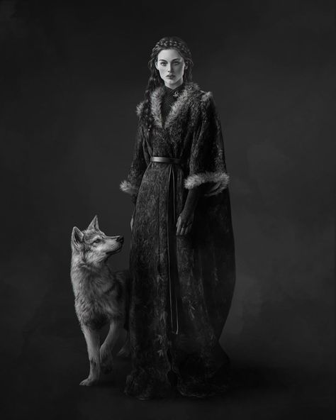 Denis Maznev (@denismaznev.art) • Instagram photos and videos Denis Maznev, Sansa Stark Art, Alayne Stone, Dessin Game Of Thrones, Game Of Thrones Artwork, George Rr Martin, Asoiaf Art, Dire Wolf, Gra O Tron