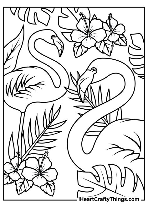 Drawing Ideas To Print, Tropical Colouring Pages, Birds Coloring Pages For Kids, Luau Coloring Pages Free Printable, Luau Coloring Pages, Hawaii Coloring Pages Free Printable, Summer Coloring Pages For Adults, Coulering Sheets, Hawaiian Coloring Pages Free Printable