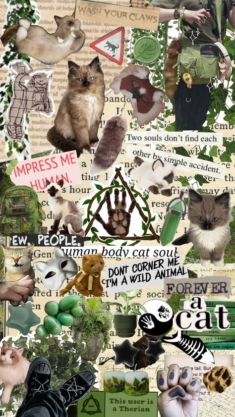 #therian #therianthropy #moodboards #ragdollcat #cat #cattherian #aesthetic Therian Wallpaper Ipad, Therian Aesthetic Wallpaper, Me As An Animal, Therian Schedule, Therian Journal Ideas, Therianthropy Aesthetic, Therian Moodboard, Therian Core, Therian Aesthetic