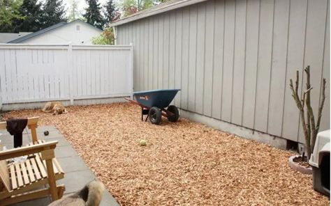 Muddy Dog Yard Solutions – How to Fix a Muddy Backyard Dog Trail (3 Proven Solutions) - Backyard Caring Best Dog Backyard Ideas, Dig Proof Dog Yard, Muddy Dog Yard Solutions, How To Cover Muddy Areas In Yard, Mud Free Dog Yard, No Grass Backyard Ideas For Dogs, Grass Alternative Backyard For Dogs, Muddy Backyard Solution, Muddy Yard Solutions Dogs