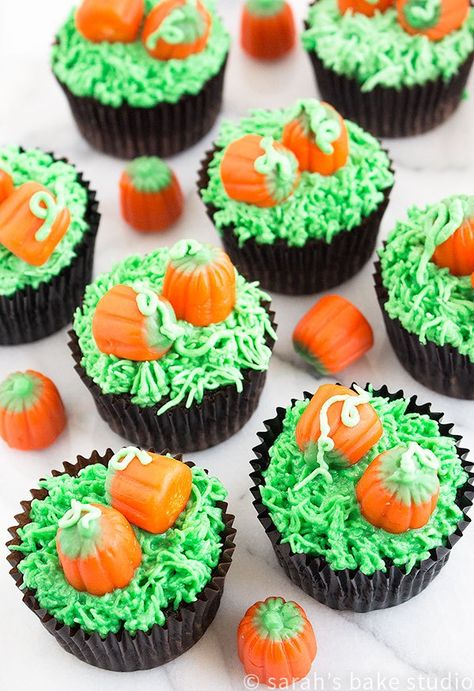 Pumpkin Patch Cupcakes – decorate your favorite chocolate cupcakes with an easy fall ensemble, candy pumpkins in a pumpkin patch. 2 Ingredient Pumpkin Muffins, Candy Pumpkins, Pasteles Halloween, Thanksgiving Cupcakes, Pumpkin Muffins Easy, Fall Cupcakes, Thanksgiving Cakes, Holiday Cupcakes, Best Baking Recipes