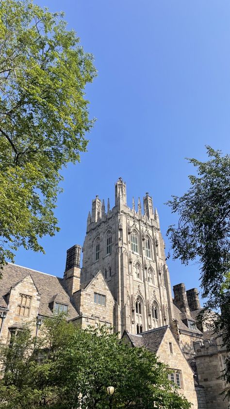 Ivy University, Yale Aesthetic, Yale Acceptance, Ivy League Aesthetic, Yale Law, Aesthetic University, Ivy League Colleges, Friends Experience, University Inspiration