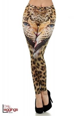 Eye of the Tiger Leggings #onlyleggings #leggings #animalprint Snakeskin Leggings, Eye Of The Tiger, Animal Print Leggings, Summer Leggings, Leggings Tops, Cute Leggings, Body Suits, Mesh Leggings, Print Leggings