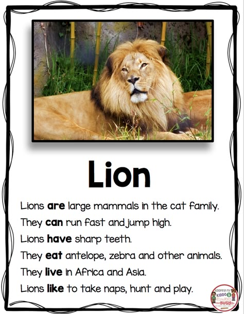 LIONS - All About Lions - Nonfiction Writing and Reading - Animal Reports - Zoo Unit - Kindergarten - First Grade - Second Grade - Informational Text - Non-Fiction Passages - FREEBIE #kindergarten #firstgrade #secondgrade #writing #nonfiction #lions Informational Text Kindergarten, A Visit To The Zoo Paragraph, Lion Facts For Kids, 1st Grade Animal Research Project, Animal Report First Grade, Animal Needs First Grade, Animal Information, Lions For Kids, Room Door Ideas