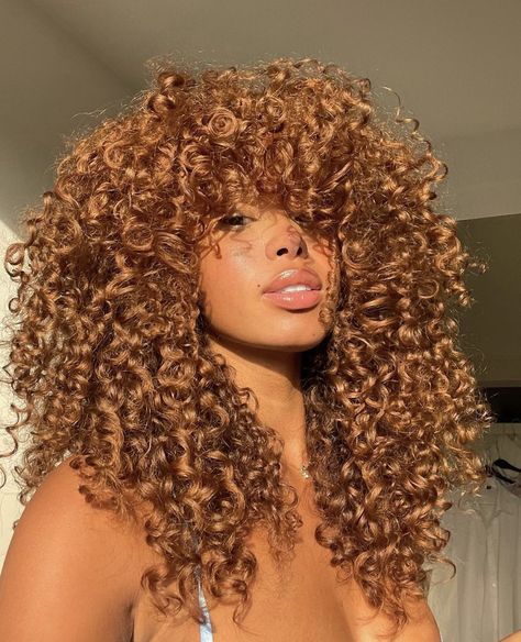 Colorful Hair Ideas For Black Women, Hair Color Ideas Natural Curly Hair, Hair Colors For Light Skin Tones Black Women, Red Hair With Highlights Black Women, Hair Color Same As Skin Tone, Colored Hair On Brown Skin Women, Curly Hair Colors Black Women, Same Hair Color As Skin, Dyed Black Curly Hair