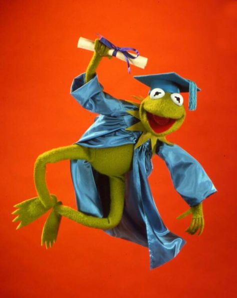 graduation Kermit Sapo Kermit, Kermit Meme, Kermit And Miss Piggy, Kermit Funny, The Muppet Show, The Muppets, Miss Piggy, Kermit The Frog, Jim Henson