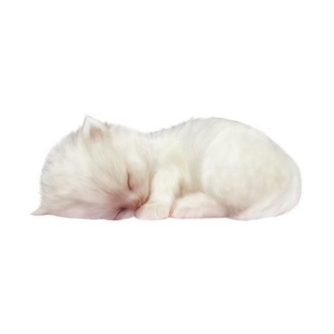 chat ❤ liked on Polyvore featuring animals, cats, pets, fillers, kittens and backgrounds Spring Sunrise, Png Aesthetic, Cat Icon, Png Icons, Silly Animals, Cat Sleeping, Silly Cats, White Cat, Cute Icons