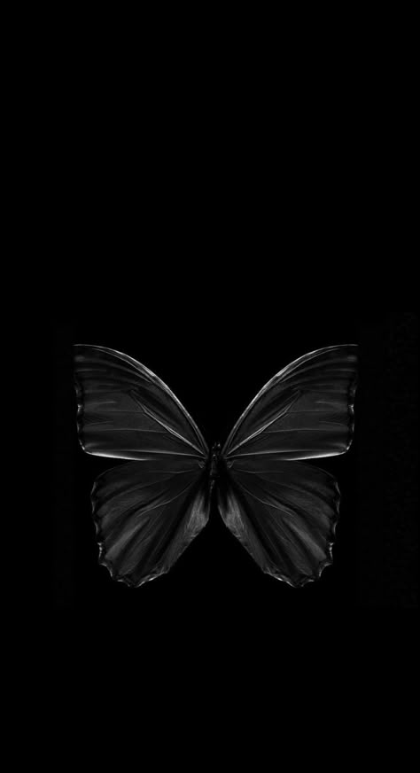 #Black #Buttetly #Wallpaper #Móvil Black Butterfly Wallpaper, Black Butterflies Aesthetic, Black Flowers Wallpaper, Iphone Wallpaper Hd Original, Monochrome Wallpaper, Blue Butterfly Wallpaper, Fall Landscape Photography, Black Couple Art, Butterfly Wallpaper Backgrounds