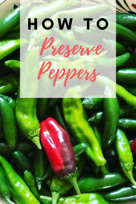 Canning Peppers: How To Preserve Peppers | Learn about canning peppers and get a great recipe here! Can Peppers, Preserve Peppers, Canning Chili, Canning Pressure Cooker, Basil Garden, Canning Peppers, Canning Granny, Pepper Recipe, Canning Tips