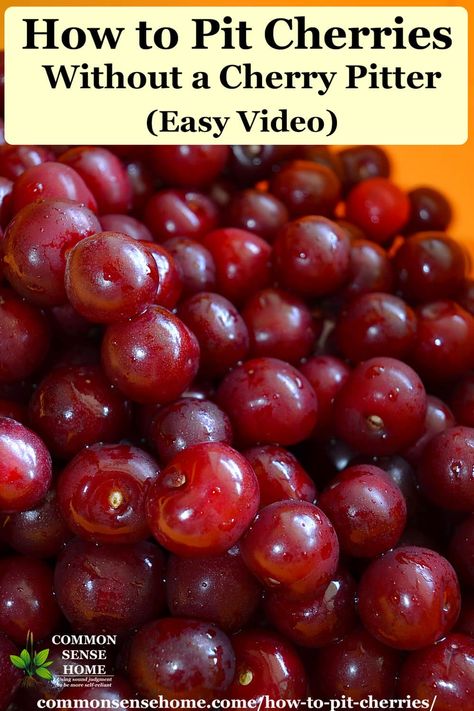 Learn how to pit cherries using an amazingly simple technique taught to us by a cherry grower, plus more options for firm or soft cherries. Cherry Recipes Healthy, How To Pit Cherries, Cherry Sauce Recipe, Cherry Bounce, Homemade Fruit Leather, Cherry Salsa, Dehydrated Apples, How To Peel Peaches, Fruit Plus