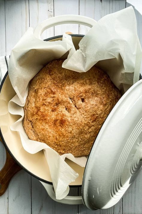 This quick and easy No Knead Whole Wheat bread is a delicious bread I make often. With a moist and tender crumb, sweetened with honey, it's a go-to no-knead bread recipe at our house. No Knead Whole Wheat Bread, Lodge Dutch Oven, Grilled Baby Back Ribs, Oatmeal Bread Recipe, Irish Oatmeal, 100 Whole Wheat Bread, 31 Daily, Oven Bread, Danish Dough