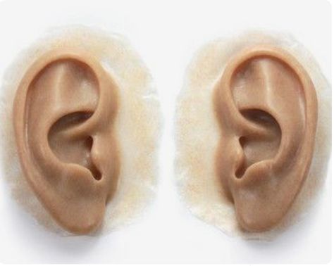 Sculpting Tutorials, Anatomy Sculpture, Human Ear, Sculpture Techniques, Sculpture Art Clay, Afrikaanse Kunst, Anatomy For Artists, Ceramic Techniques, Polymer Clay Dolls