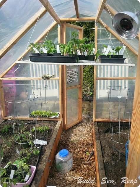 Simple Greenhouse Small Backyard Greenhouse Diy, How To Build A Mini Greenhouse, Diy Small Greenhouse For Winter, Small Polytunnel, Simple Greenhouse, Growing Tomatoes Indoors, Diy Greenhouse Plans, Growing Tomatoes In Containers, Gardening Zones