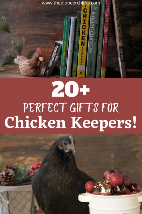 20 Gift Ideas for Chicken Lovers Chicken Gifts Ideas, Diy Gifts For Chicken Lovers, Bird Lovers Gift Ideas, Gifts For Chicken Owners, Chicken Keeping Hacks, Gifts For Chicken Lovers, Diy Chicken Egg Candler, Chicken Harness, Ideas For Chicken