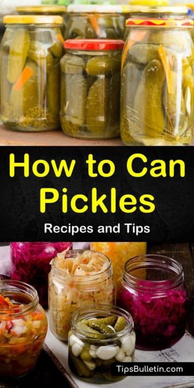 Canning Pickles For Beginners, Canned Pickles Recipe, Simple Pickles, Can Pickles, Easy Pickles, Canning Pickles Recipe, Pickles Recipes, Canning Granny, Water Bath Canning Recipes